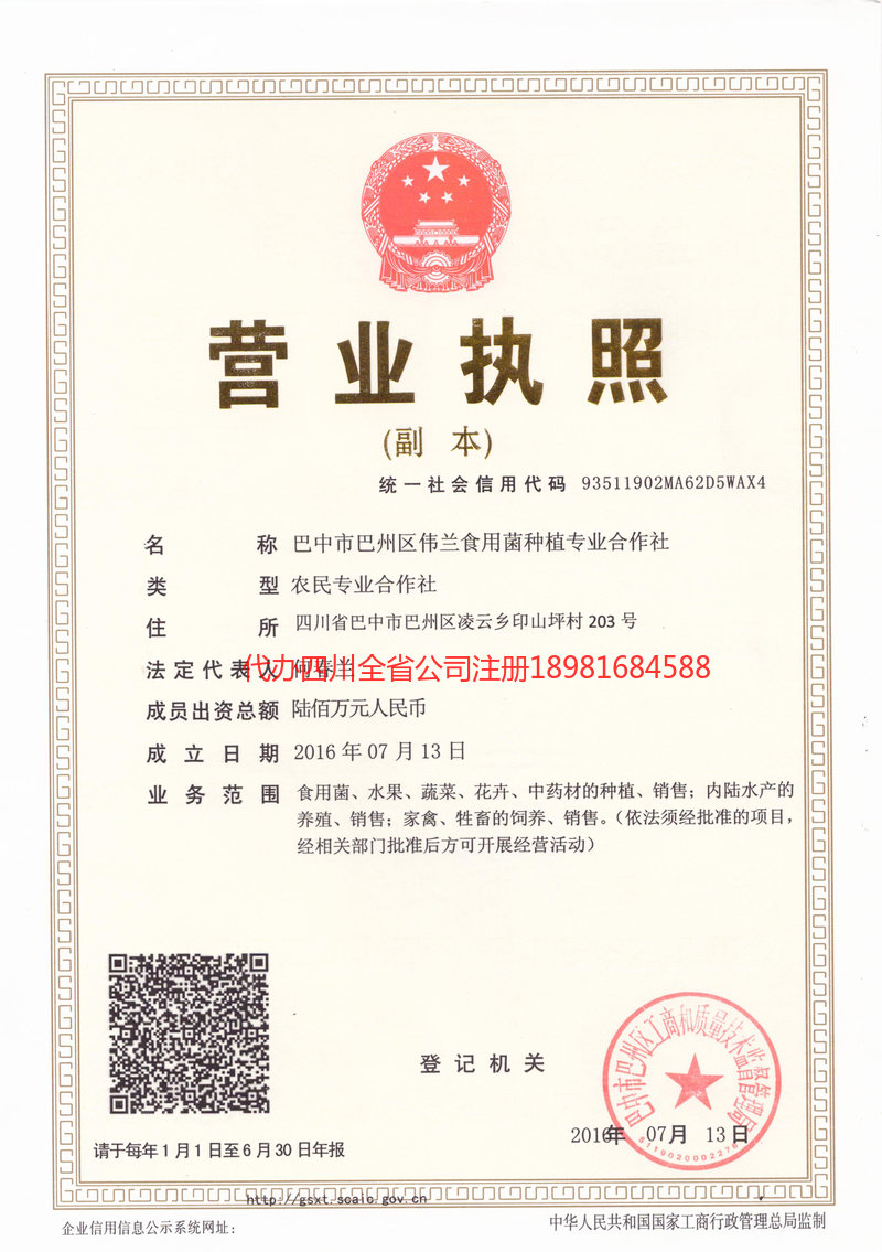 霍尔果斯霍尔果斯伟兰食用菌种植专业合作社